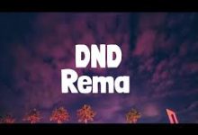 Rema - DND (Mixed)